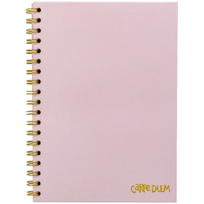 Agenda cu spirala si separatoare Pukka Pad Balerina Pink, format B5, 160 pag, dictando, microperforatii, coperti tari