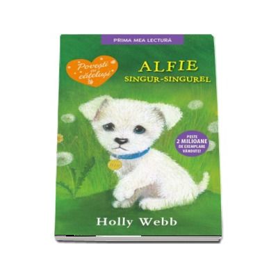 Alfie, singur-singurel - Holly Webb
