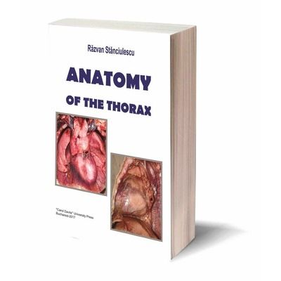 Anatomy of the Thorax