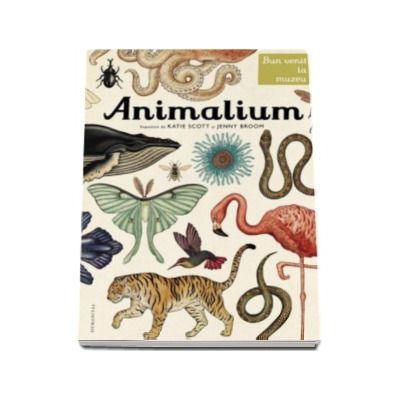 Animalium - Bun venit la muzeu. Intrarea libera