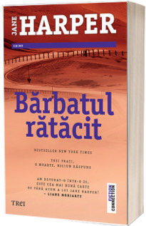 Barbatul ratacit