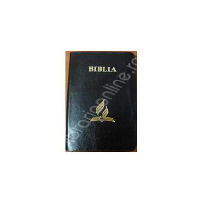 Biblia - format mare