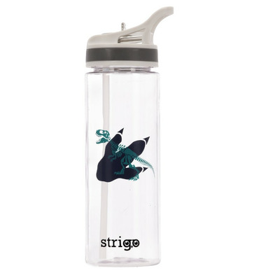 Bidon Strigo Dinosaur Colection, 600 ml SSC270