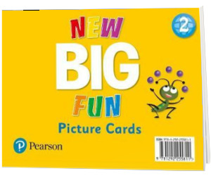 Big Fun Refresh Level 2. Picture Cards