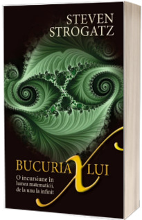 Bucuria lui X - O incursiune in lumea matematicii, de la unu la infinit