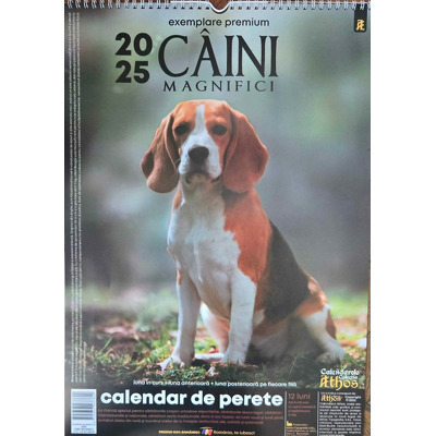 Calendar de perete X3, 2025. Caini magnifici, exemplare premium