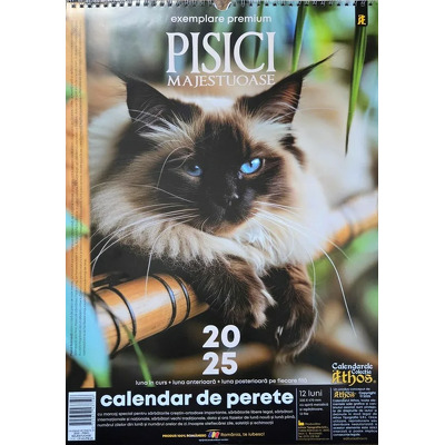 Calendar de perete X3, 2025. Pisici majetoase, exemplare premium