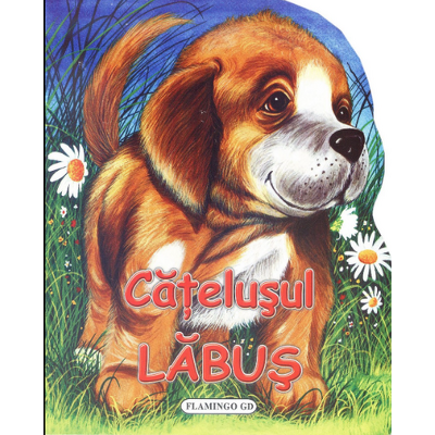 Catelusul Labus