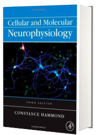 Cellular and Molecular Neurophysiology