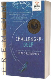Challenger Deep - Neal Schusterman