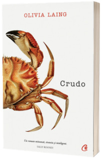 Crudo