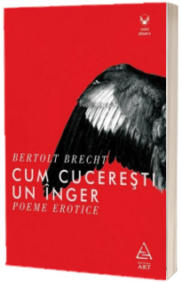 Cum cuceresti un inger. Poeme erotice