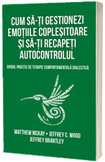 Cum sa-ti gestionezi emotiile coplesitoare si sa-ti recapeti autocontrolul