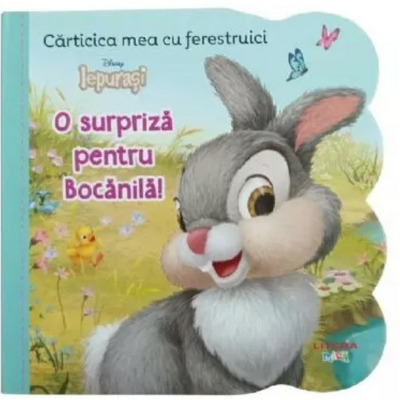 Disney Iepurasi. Carticica mea cu ferestruici. O surpriza pentru Bocanila