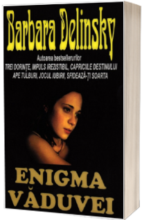 Enigma vaduvei (Delinsky, Barbara)