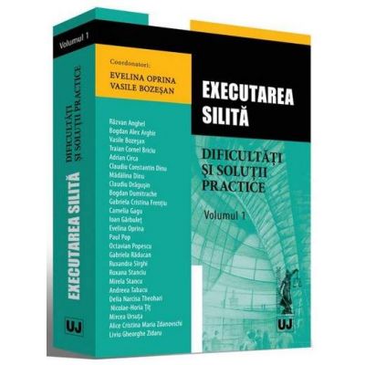 Executarea silita. Dificultati si solutii practice - Volumul I