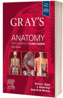 Gray s Anatomy for Students Flash Cards