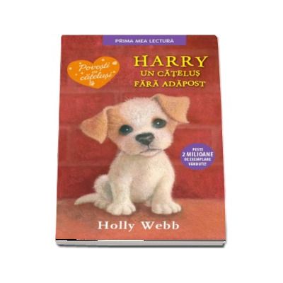 Harry, un catelus fara adapost - Holly Webb