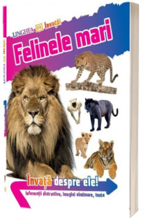 Invata! Felinele mari