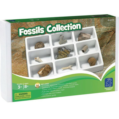 Kit paleontologie - Fosile