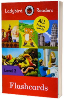 Ladybird Readers Level 3 Flashcards