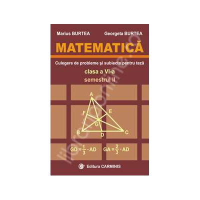 Matematica. Clasa a VI-a. Culegere de probleme si subiecte pentru teze. Semestrul II