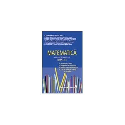 MATEMATICA - Culegere pentru clasa a VI-a