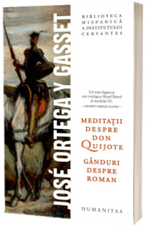 Meditatii despre Don Quijote