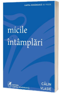 micile intamplari