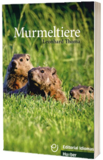 Murmeltiere. Buch