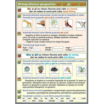 Ortografierea grupurilor: ghe, ge si ghi, gi - Substantivul. Plansa DUO