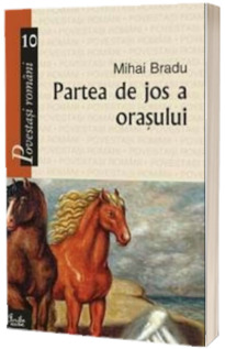 Partea de jos a orasului