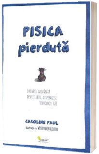 Pisica pierduta