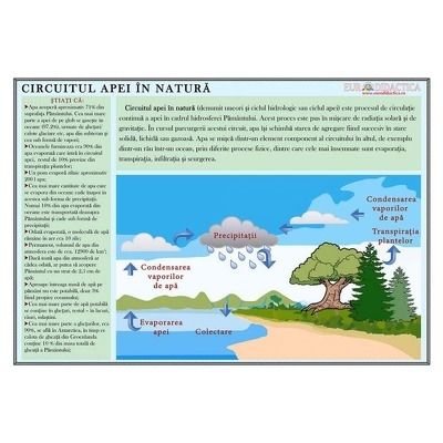 Plansa Circuitul apei in natura