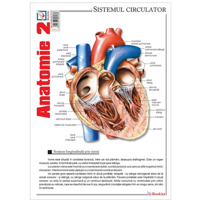 Pliant Anatomie 2