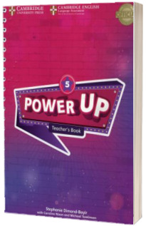 Power Up Level 5. Teachers Book