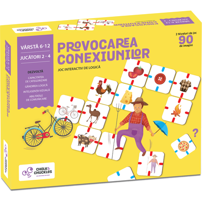 Provocarea conexiunilor - Why Connect