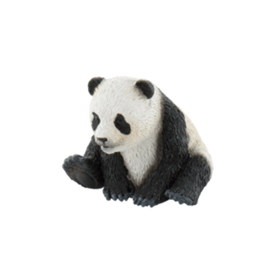 Pui de urs panda