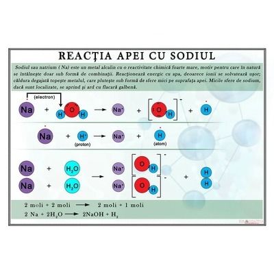 Reactia apei cu sodiul. Plansa