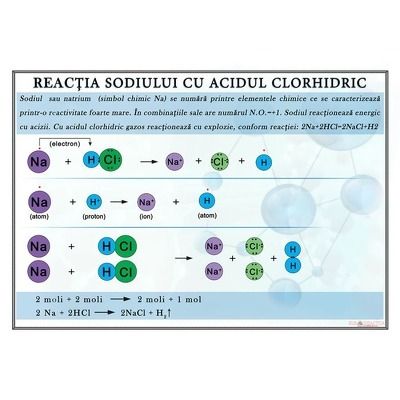 Reactia sodiului cu acidul clorhidric. Plansa