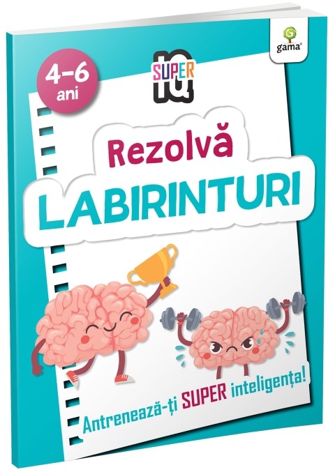 Rezolva labirinturi