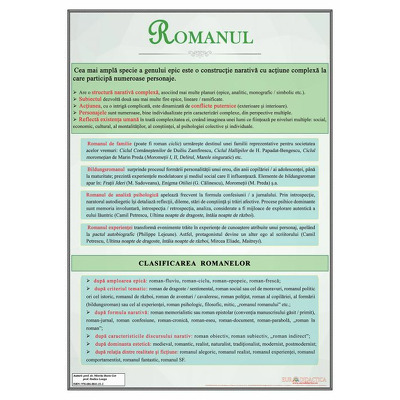 Romanul. Clasificare, plansa