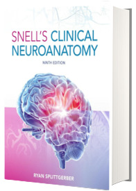 Snell s Clinical Neuroanatomy