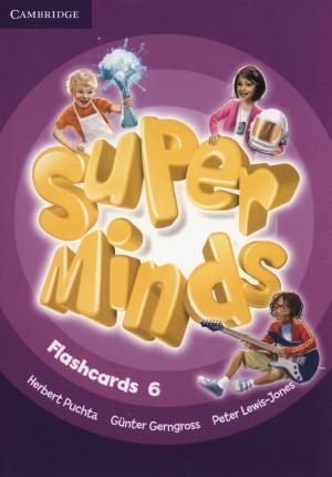 Super Minds Level 6 Flashcards (Pack of 98)
