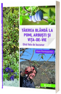 Taierea blanda la pomi, arbusti si vita-de-vie