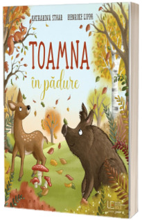 Toamna in padure