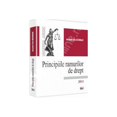 Principiile ramurilor de drept