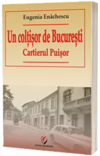 Un coltisor de Bucuresti. Cartierul Puisor